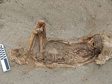 В Перу обнаружили останки 76 принесенных в жертву детей.