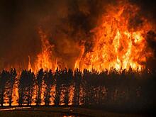 Почему человечество не может эффективно бороться с крупными природными пожарами