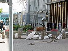 Сроки ремонта Центральной аллеи в Курске перенесли до 15 декабря: готово до 85% работ