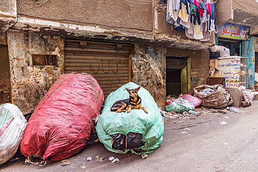 Кто живет в Городе мусорщиков на окраине Каира