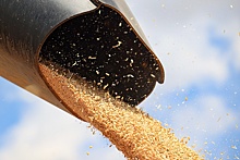 Россия будет готова возобновить участие в зерновой сделке, когда требования по доступу российского продовольствия на мировой рынок будут выполнены