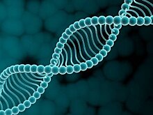 Ученые нашли более агрессивную форму ВИЧ