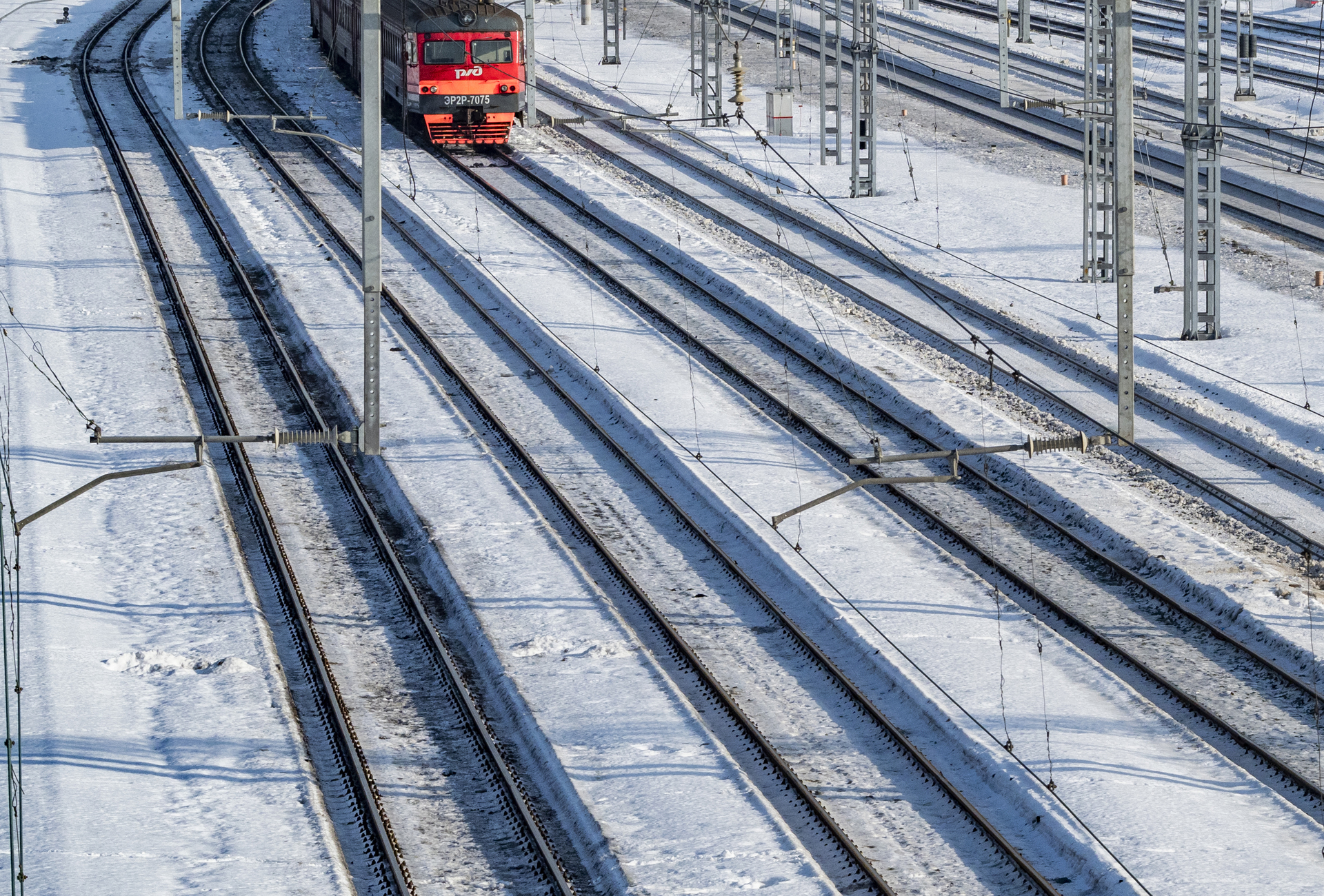 яхрома белый раст электричка фото 109