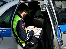 В Пензе задержаны пьяный водитель и два пассажира, оказавшие сопротивление полицейским