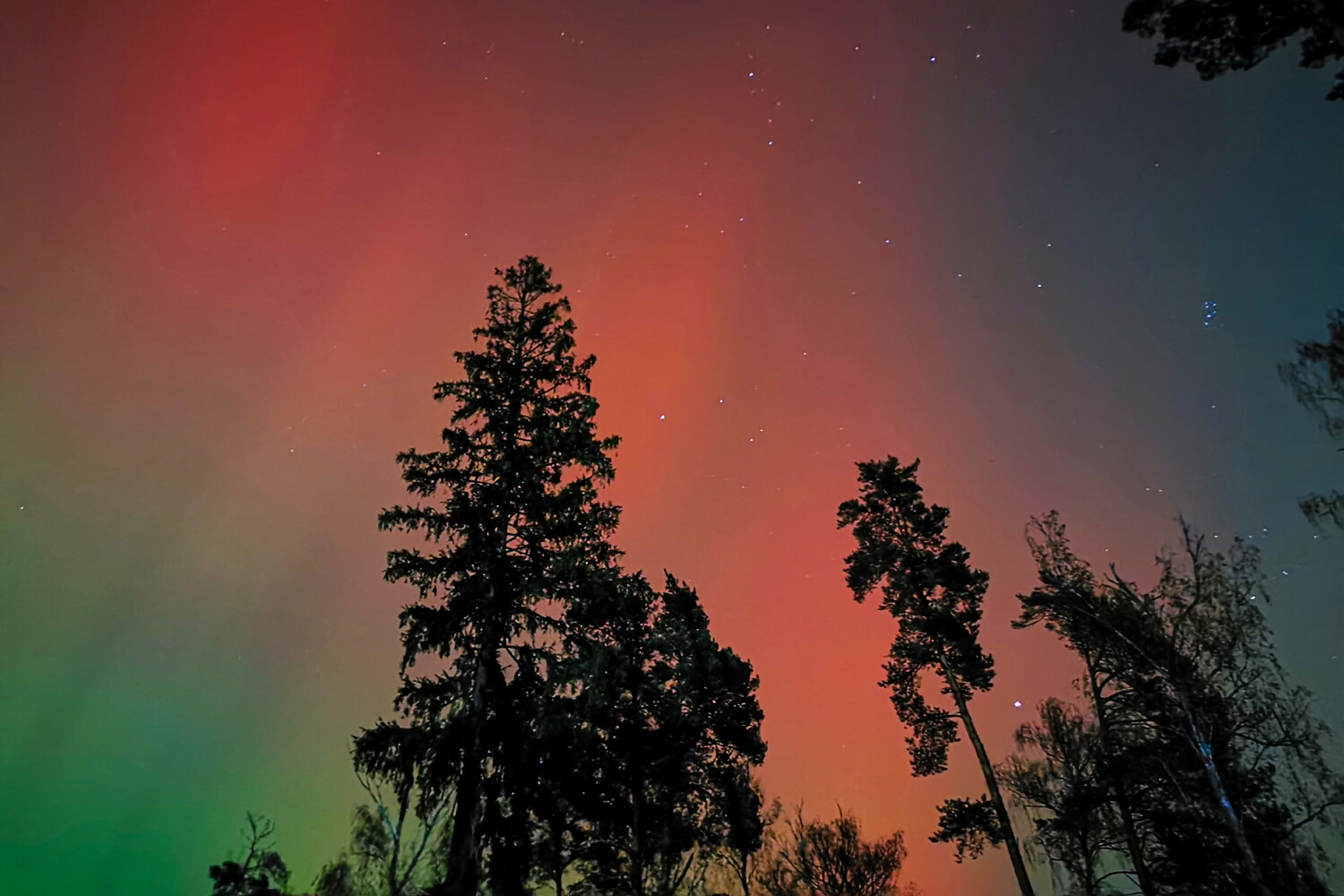 Богачев: через год-два в средней полосе России прекратятся полярные сияния