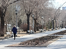 Ветер и потепление до +21 ожидаются в Волгограде и области 3 апреля