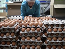 Российские птицефабрики попросили перейти на плановые закупки