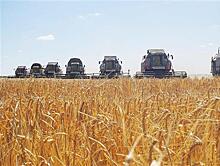 Предприятия Кошкинского района агрохолдинга "Зерно жизни" подвели итоги сезона