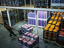 За ввоз в Россию санкционных продуктов будут штрафовать
