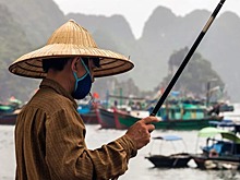 Вьетнам откроет границы для туристов к осени