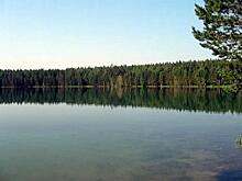 «Защитим Святое!» Жители Абанского района спасают уникальное озеро