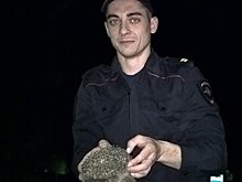 Полицейский спас ежа в Ростовской области