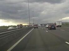 Лось спровоцировал аварию на магистрали Петербурга