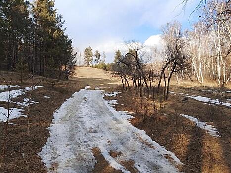 В трёх округах Забайкалья запретили посещение лесов
