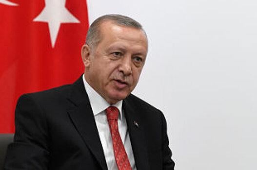 Эрдоган: Турция внесла неоценимый вклад в безопасность Европы