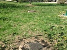 На территории Борисовского проезда убрали мусор