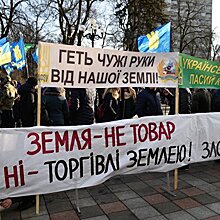 Величайшее заблуждение украинской власти. Земельная реформа в Украине