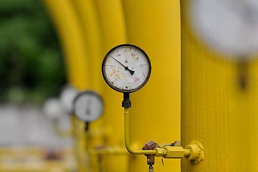 Описаны действия «Газпрома» после остановок поставок в Австрию