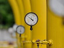 Описаны действия «Газпрома» после остановок поставок в Австрию