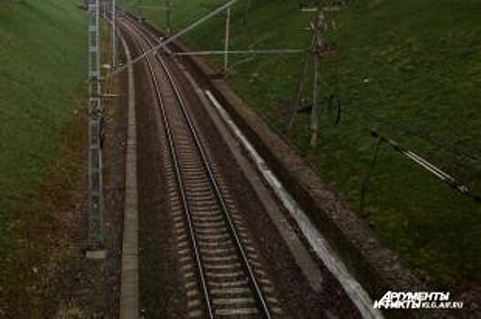 На перегоне под Калининградом поезд сбил мужчину
