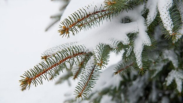          В Кировской области ожидаются снегопады       