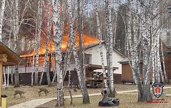 Число пострадавших в пожаре под Красноярском увеличилось до двух