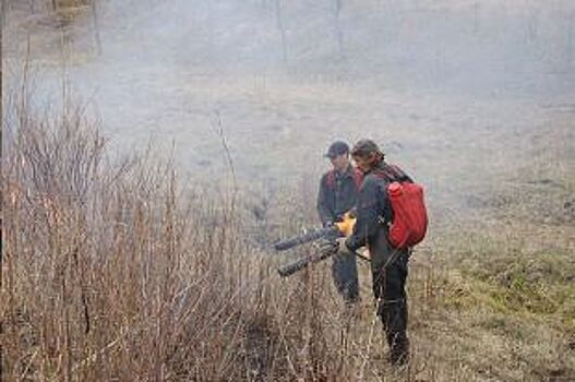 В Липецке сгорело более 3,5 га территории на Селикатных озёрах