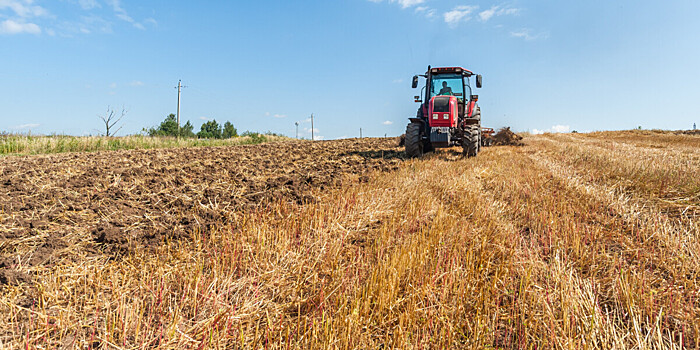 Профсоюзы Беларуси начали проверку хозяйств перед посевной