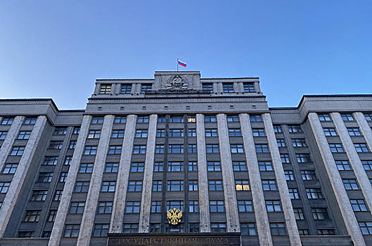 Карасин возглавил комитет по международным делам СФ