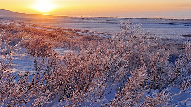 В АТОР рассказали, какие арктические регионы России выбирают чаще всего