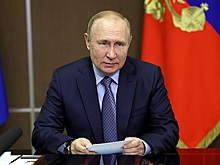 Опрос показал, сколько россиян доверяют Путину