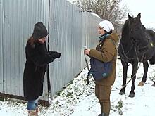 Москвичка переехала в Подмосковье и стала почтальоном. Она разносит письма верхом на коне