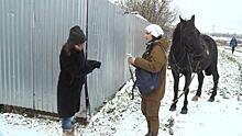 Москвичка переехала в Подмосковье и стала почтальоном. Она разносит письма верхом на коне