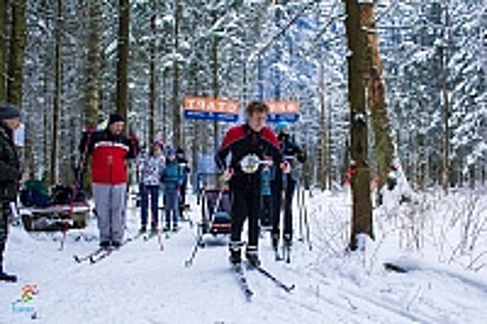 В Чашниково прошли соревнования по туристическому ориентированию на лыжах