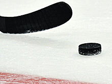 Хоккеисты "Хумо" были отпущены в отпуск до возобновления сезона в ВХЛ