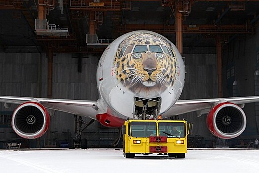 Авиакомпания «Россия» представила во Внуково Boeing в леопардовой раскраске