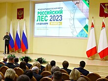В Вологодской области начали работу 28-й Международный лесной форум и выставка «Российский лес»