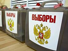 В рамках закона и приличий. Предвыборная кампания подходит к концу