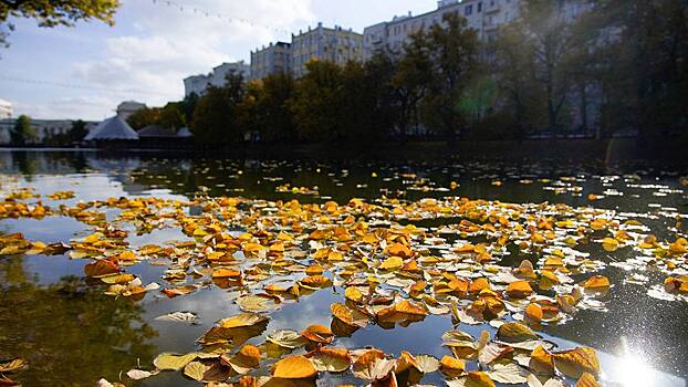 Московские парки пригласили на осенние мероприятия