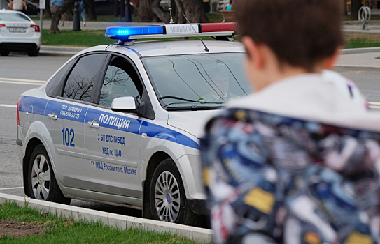 ГИБДД раскрыла схему получения «блатных» автомобильных номеров через госуслуги
