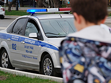 ГИБДД раскрыла схему получения «блатных» автомобильных номеров через госуслуги