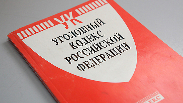 Троих жителей Щелкова задержали за кражу имущества с земельного участка