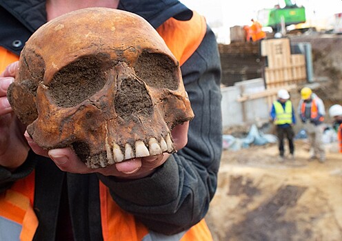 Антропологи обнаружили первую жертву убийства в Европе