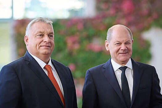 Politico: Шольц попросил Орбана выйти за кофе во время дебатов по Украине