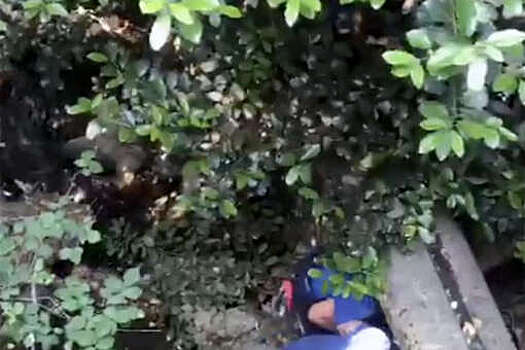 В Крыму спасли мужчину, сорвавшегося в реку с большой высоты