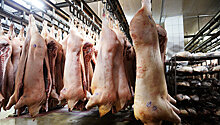 Ввоз мяса из Аргентины могут ограничить
