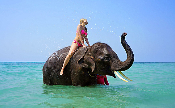 Теплое море вместо Новосибирска было миллионы лет до нашей эры