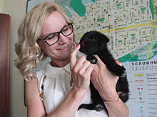 Пушистые щенки ищут ласковых и добрых хозяев