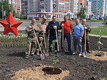 Яблоневый сад появился у Госпиталя ветеранов войн в Дзержинске