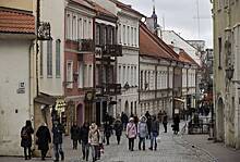 В Литве предложили запретить выдачу ВНЖ большинству белорусов